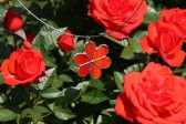 jewel flower red - historical glass