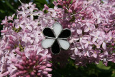 jewel flower white and black - historical glass