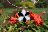 jewel flower white and black - historical glass