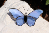 butterfly blue - historical glass