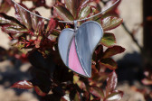 jewel heart pink and gray - historical glass