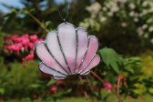 shells - historical glass