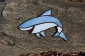 shark - historical glass